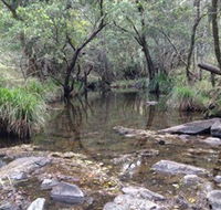 Homeleigh - Accommodation Sunshine Coast