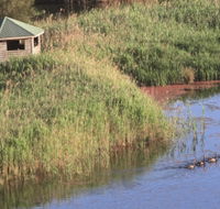 Spring Creek Bird Hide - Accommodation Sunshine Coast