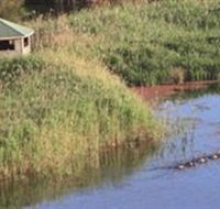 Spring Creek Wetlands Walk - Accommodation Sunshine Coast