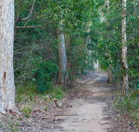 Delta track - Accommodation Sunshine Coast