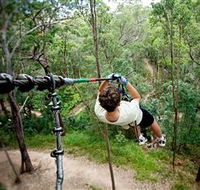 TreeTop Challenge - Accommodation Sunshine Coast