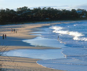 Mollymook Beach - Accommodation Sunshine Coast 1