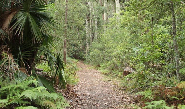 East Lynne NSW Accommodation Sunshine Coast
