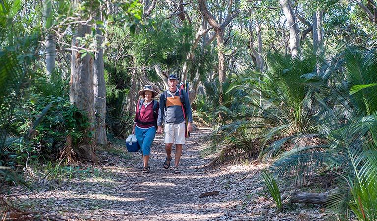 Benandarah NSW Accommodation Sunshine Coast