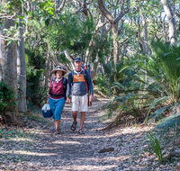 Myrtle Beach walking track - Accommodation Sunshine Coast