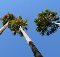 Bindarri National Park - Accommodation Sunshine Coast