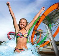 Wet'n'Wild Gold Coast - Accommodation Sunshine Coast