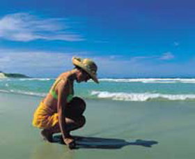 Diamond Beach - Accommodation Sunshine Coast 0