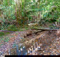 Ulidarra National Park - Accommodation Sunshine Coast