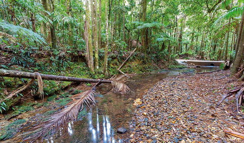Ulidarra National Park - Accommodation Sunshine Coast 0
