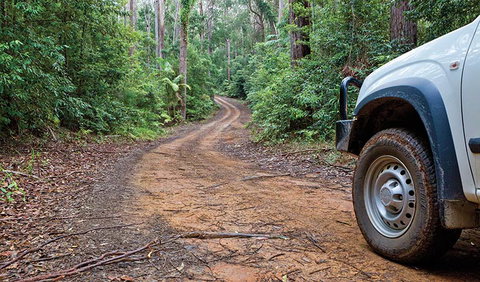 Ulidarra National Park - Accommodation Sunshine Coast 2