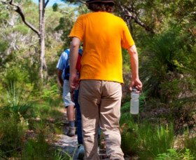 Naree Budjong Djara National Park - Accommodation Sunshine Coast 3