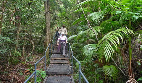 Falls Walking Track - Accommodation Sunshine Coast 2