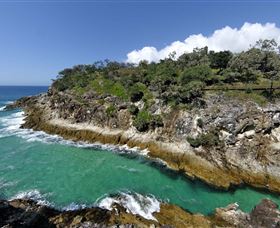 North Gorge Walk - Accommodation Sunshine Coast 3