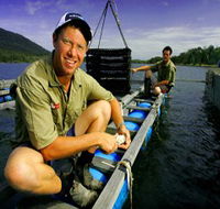 Armstrong Oysters - Accommodation Sunshine Coast