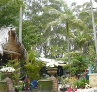 Diamond Waters Garden Nursery