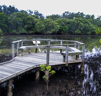 Walk on Water walking track - Accommodation Sunshine Coast