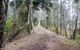Walk On Water Walking Track - thumb 2