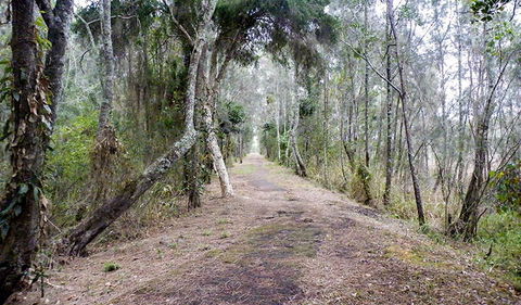 Walk On Water Walking Track - Accommodation Sunshine Coast 2