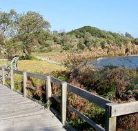 Mimosa Rocks walking track - Accommodation Sunshine Coast