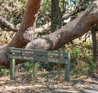 Middle Lagoon walking track - Accommodation Sunshine Coast