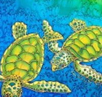 Sea Silks Gallery