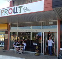 Sprout Eden