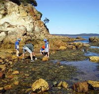 Sapphire Coast Marine Discovery Centre