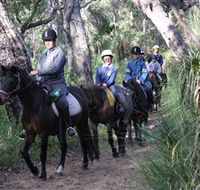 Mirravale Horse Riding School - Accommodation Sunshine Coast