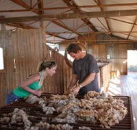 Peron Homestead - Accommodation Sunshine Coast