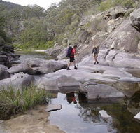 Nadgee Wilderness Walk - Accommodation Sunshine Coast
