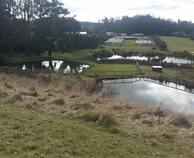 West Ridgley TAS Accommodation Sunshine Coast