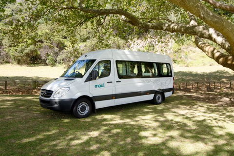 Maui Motorhomes - Accommodation Sunshine Coast 8