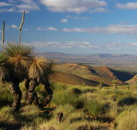 4WD Aussie Outback Adventures - Accommodation Sunshine Coast