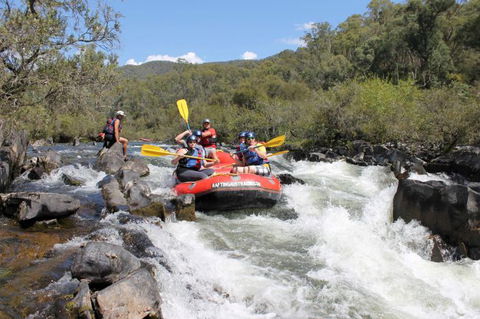Rafting Australia - Accommodation Sunshine Coast 2