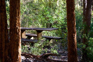 Karrak Reach Forest Retreat - Accommodation Sunshine Coast 1