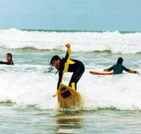 Surf Culture Australia - Accommodation Sunshine Coast