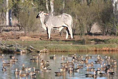 Natural Encounters Trail - Accommodation Sunshine Coast 0