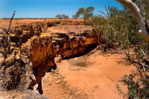Natural Encounters Trail - Accommodation Sunshine Coast 8