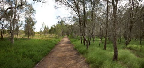 Billai Dhagun Circuit (Place Of She-Oaks) - Accommodation Sunshine Coast 0