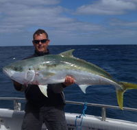 Reef Encounters Fishing Charters. - Accommodation Sunshine Coast
