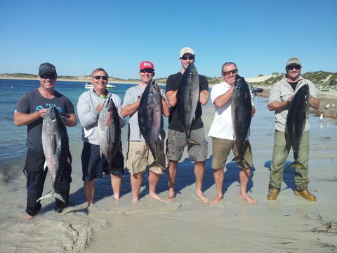 Reef Encounters Fishing Charters. - Accommodation Sunshine Coast 9