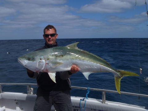 Reef Encounters Fishing Charters. - Accommodation Sunshine Coast 12