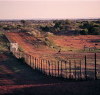 Tri State Safaris - Accommodation Sunshine Coast