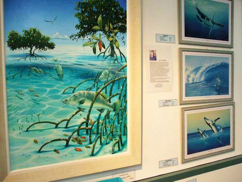 Creations @ The Harbour - Accommodation Sunshine Coast 3