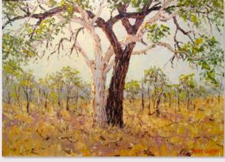 Peter Lawson Fine Art - Accommodation Sunshine Coast 1