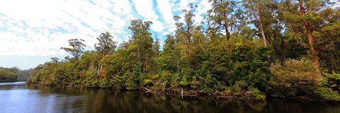 A R Reflections River Cruises - Accommodation Sunshine Coast 0