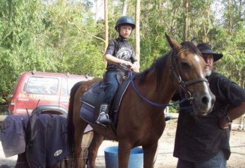 AAA Horse Riding & More - Accommodation Sunshine Coast 1