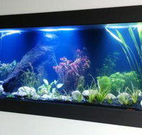 Aquariums in Cairns - Accommodation Sunshine Coast