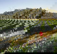 Margaret River Caves Wine and Cape Leeuwin Lighthouse Tour from Perth - Accommodation Sunshine Coast